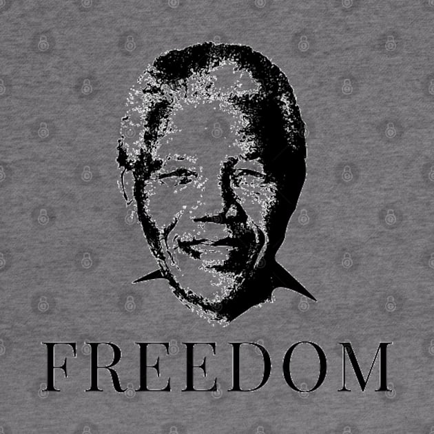 Nelson Mandela Freedom by 9 Turtles Project